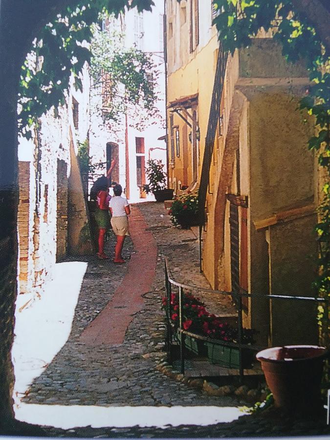 Petite Fleur D'Azur Bed & Breakfast Cagnes-sur-Mer Bagian luar foto