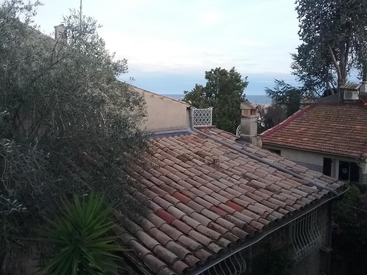 Petite Fleur D'Azur Bed & Breakfast Cagnes-sur-Mer Bagian luar foto